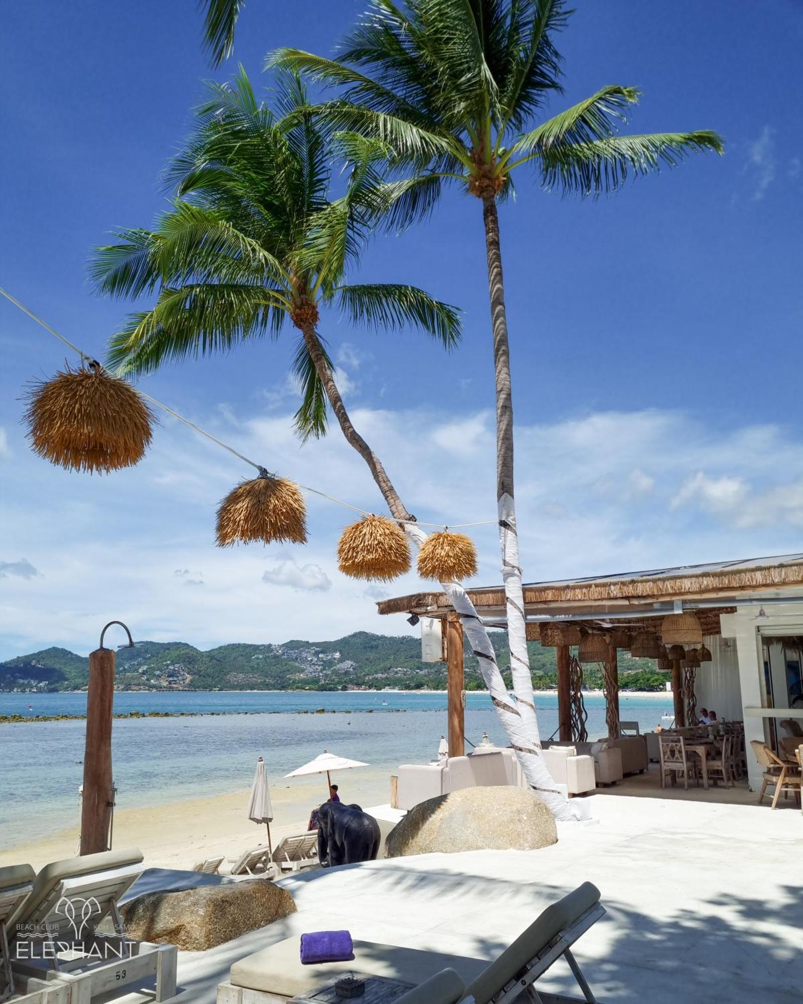 Elephant Beach Club & Resort Samui Chaweng  Bagian luar foto