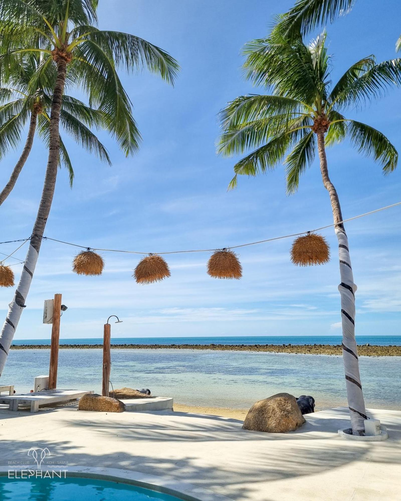 Elephant Beach Club & Resort Samui Chaweng  Bagian luar foto